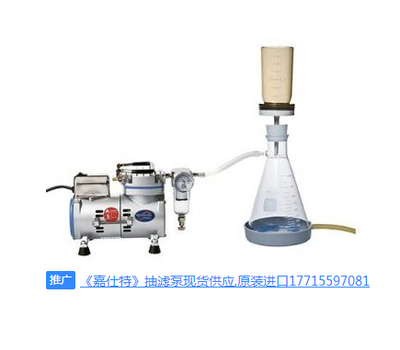 美国SCIENCETOOL抽滤泵